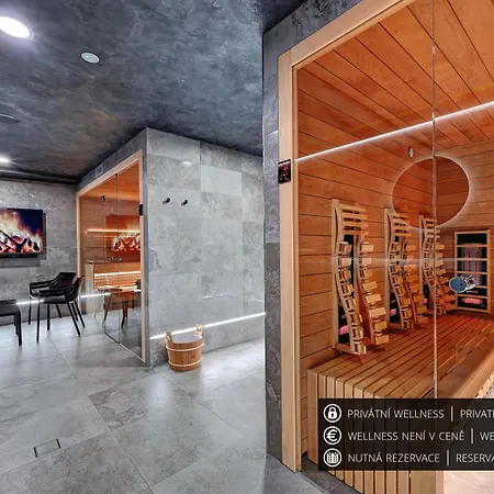 Wellness Hotel Fenix Отель 4*