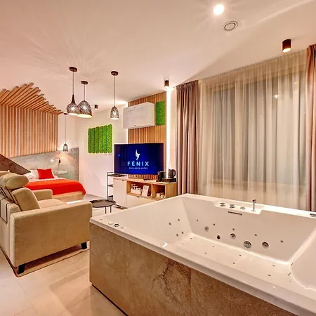 Wellness Fenix 4*