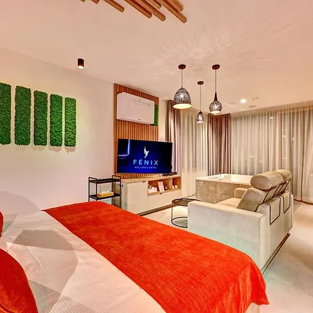 Wellness Hotel Fenix 4*
