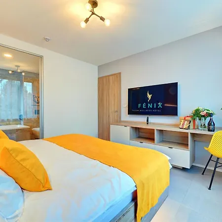 Wellness Hotel Fenix Отель 4*