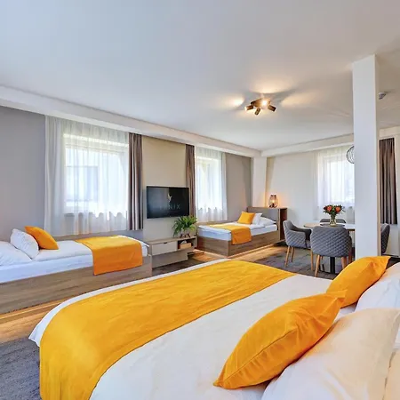 Hotel Wellness Hotel Fenix 4*