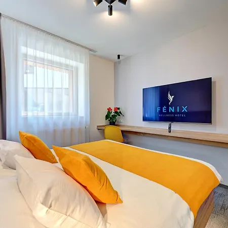Wellness Hotel Fenix 4*