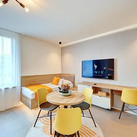 Wellness Hotel Fenix Отель 4*
