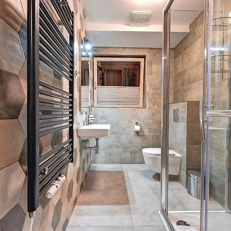 Отель Wellness Hotel Fenix 4*