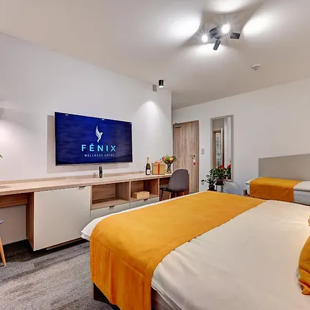 Wellness Hotel Fenix 4* Либерц