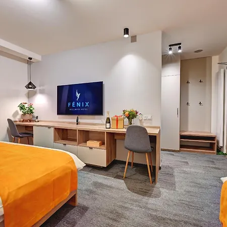 Wellness Hotel Fenix Отель