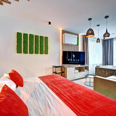Hotel Wellness Hotel Fenix 4*