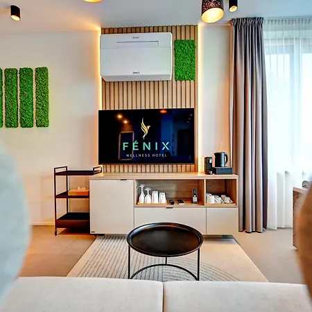 Wellness Hotel Fenix 4* Liberec