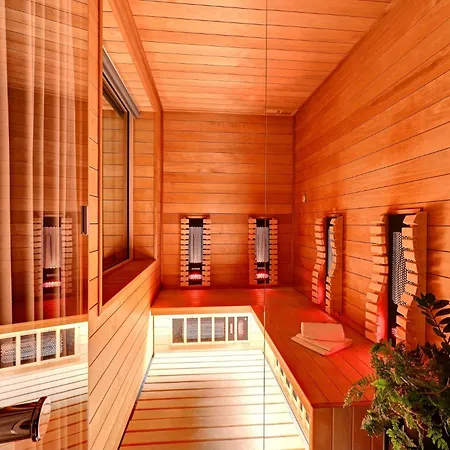 Hotel Wellness Hotel Fenix 4*