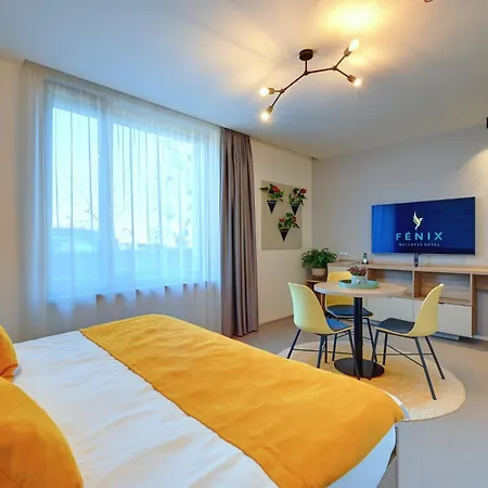 Wellness Fénix Szálloda Liberec