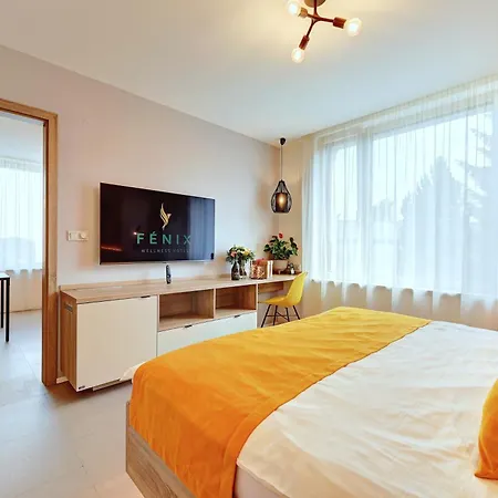 Wellness Fenix Hotel 4*