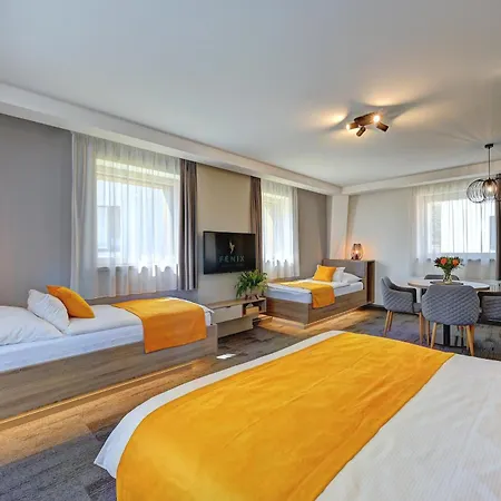 Hotel Wellness Hotel Fenix Liberec
