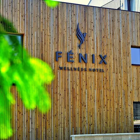 Wellness Fenix Hotel
