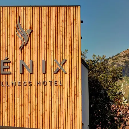 Wellness Fenix Hotel 4*