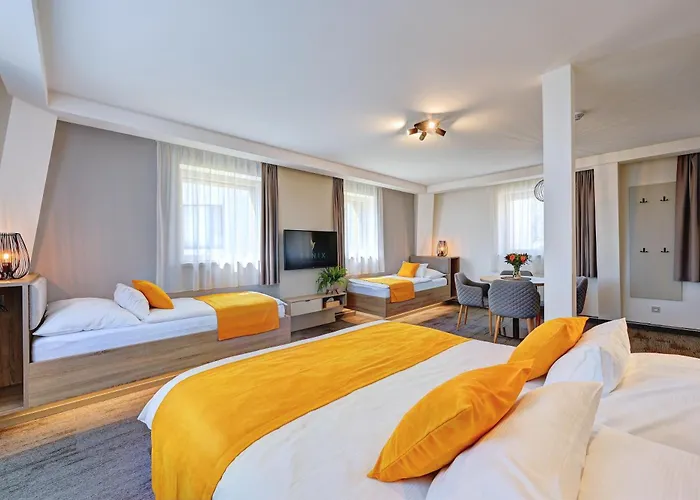 Wellness Fenix فندق ليبيريتش