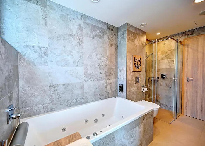 Wellness Fenix Liberec