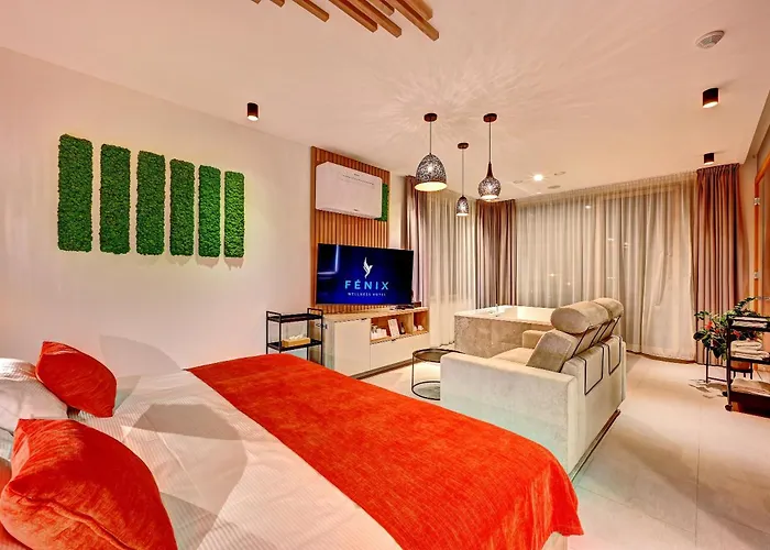 Wellness Fenix 4*