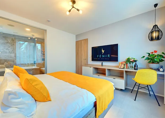 Wellness Fénix Hotel 4*