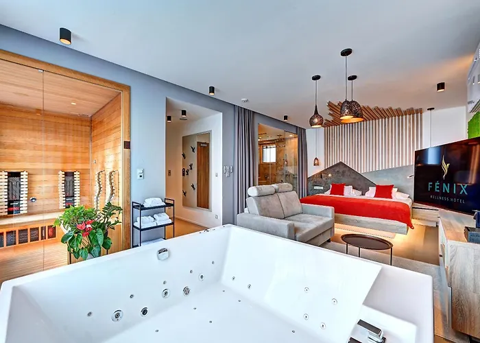 Wellness Hotel Fenix 4*